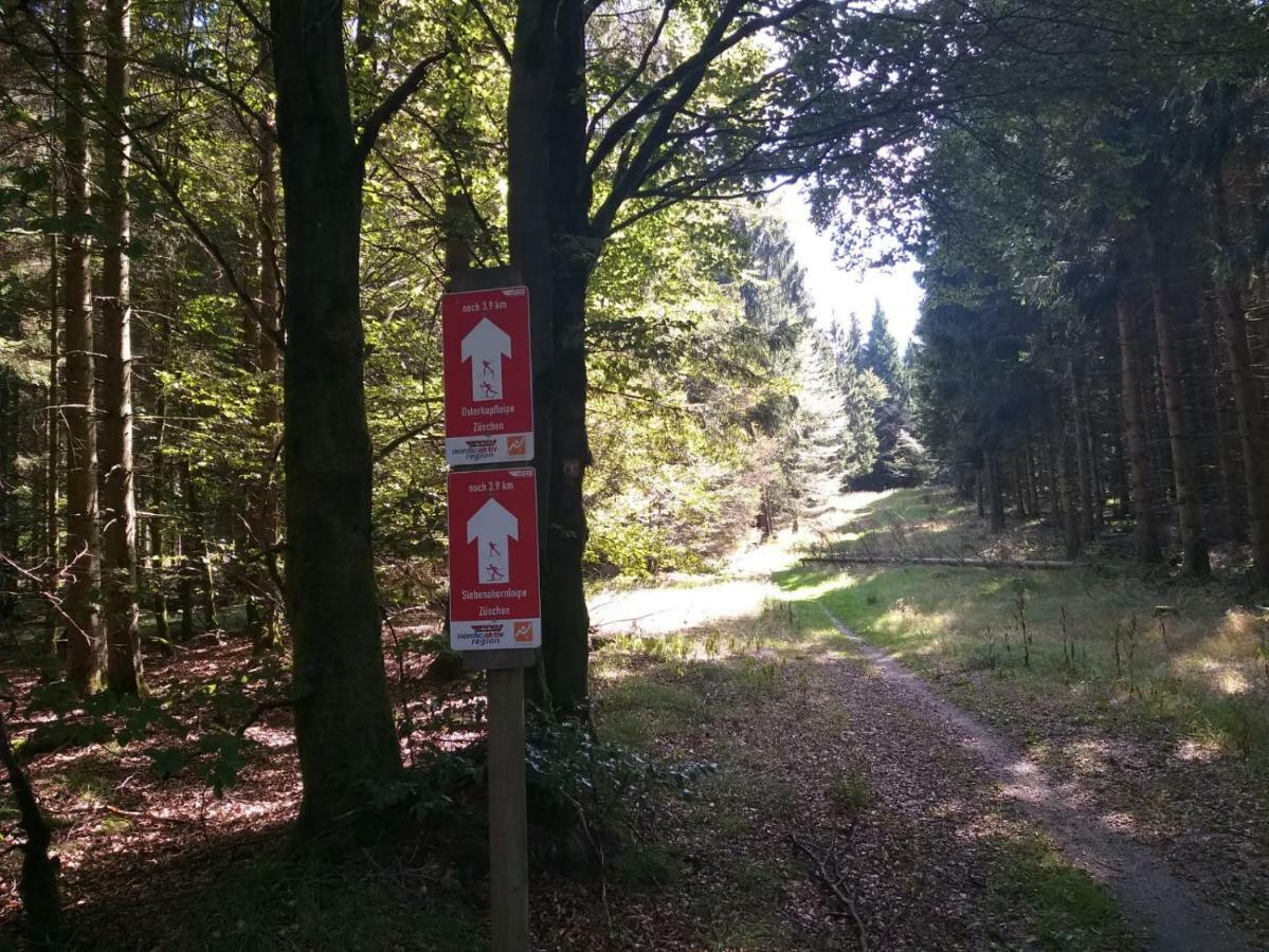 Ferienwohnungen Luge - Winterberg Eksteriør billede