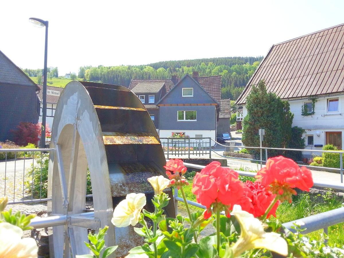 Ferienwohnungen Luge - Winterberg Værelse billede
